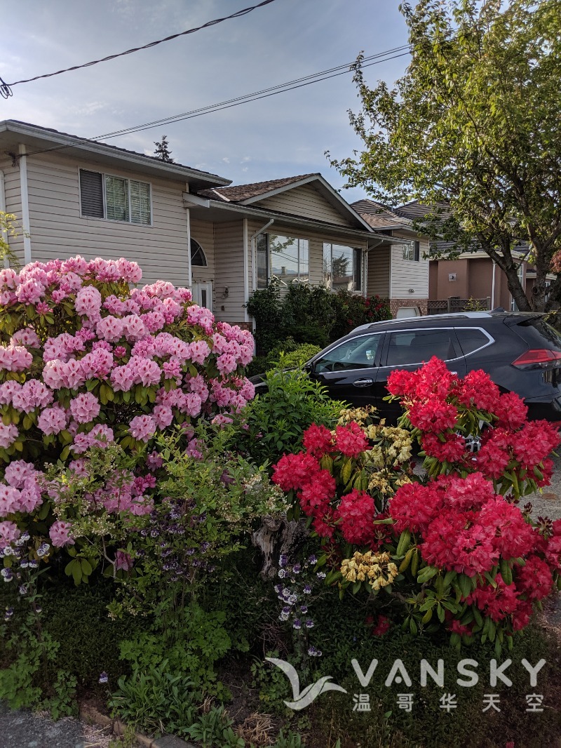 251101145935_frontyard - 02.jpg